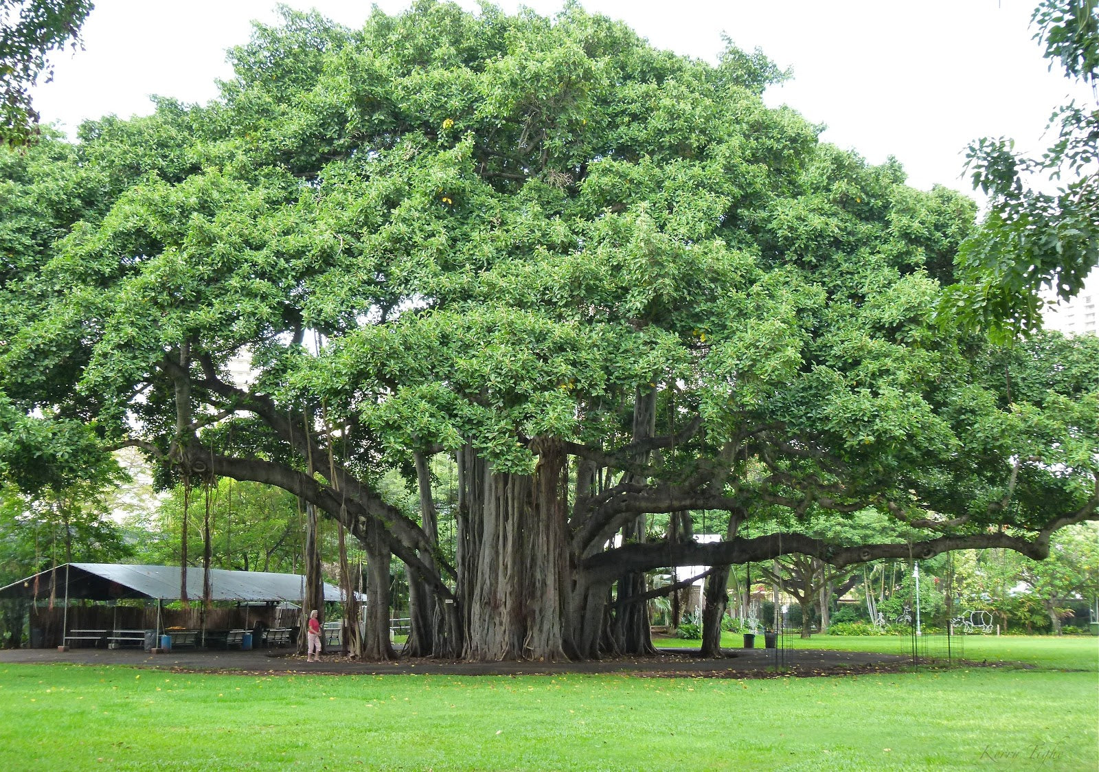 banyan tree spa sanctuary