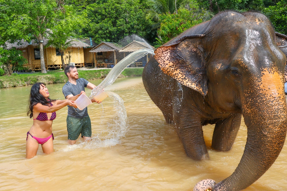 Green Elephant Sanctuary
