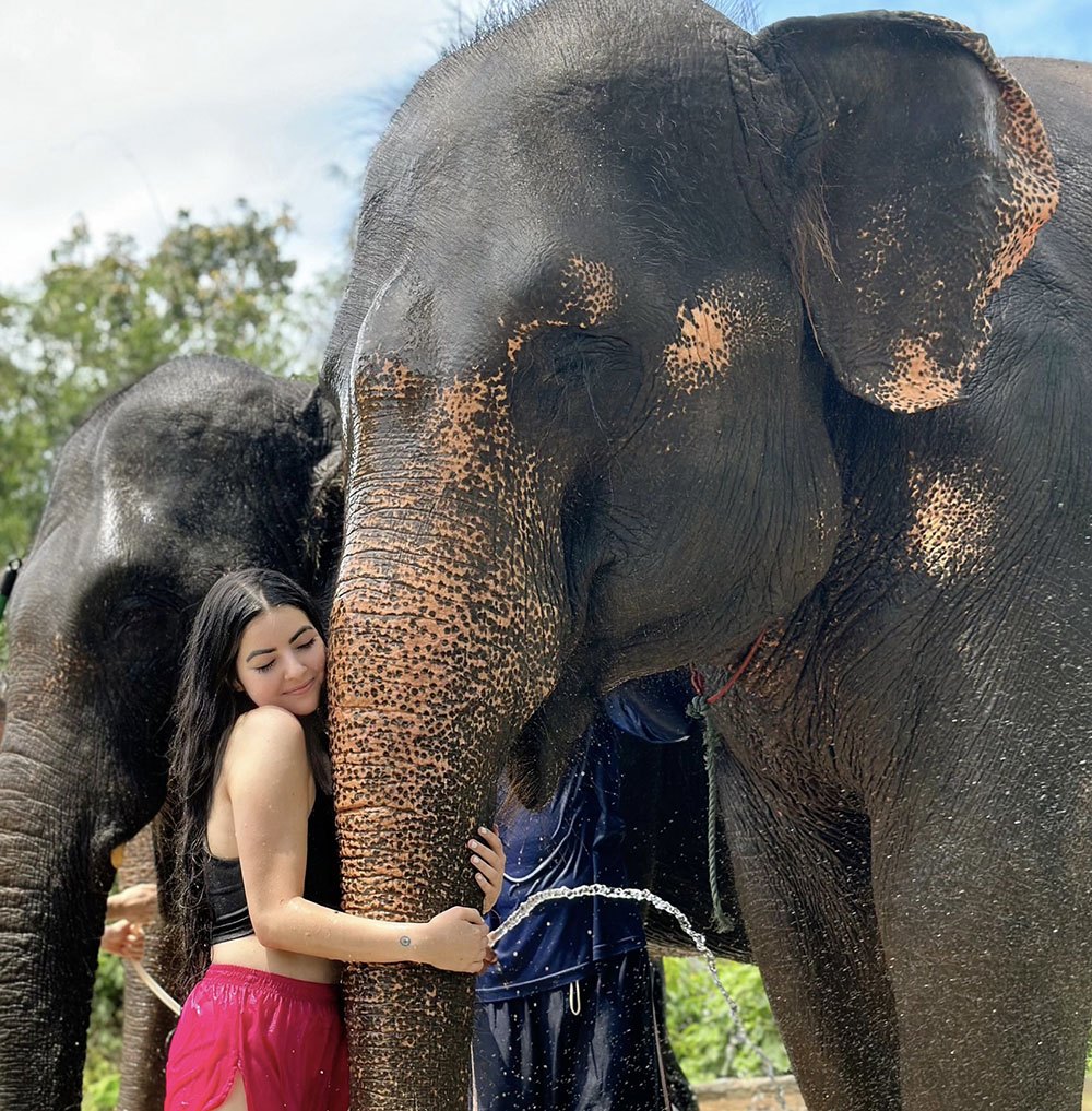 phuket-elephant-care