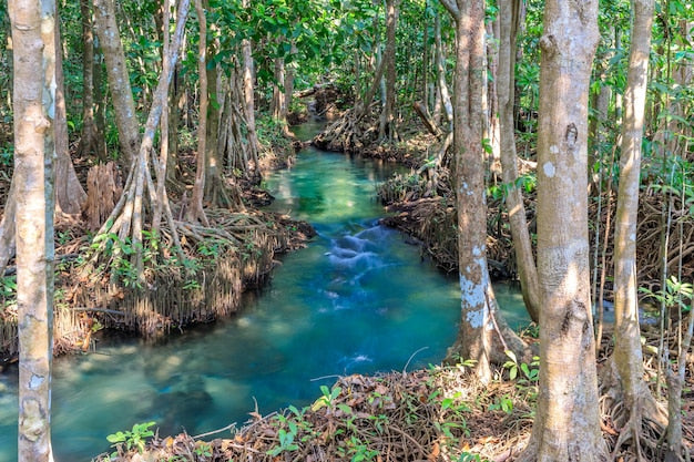 thapom klong song nam