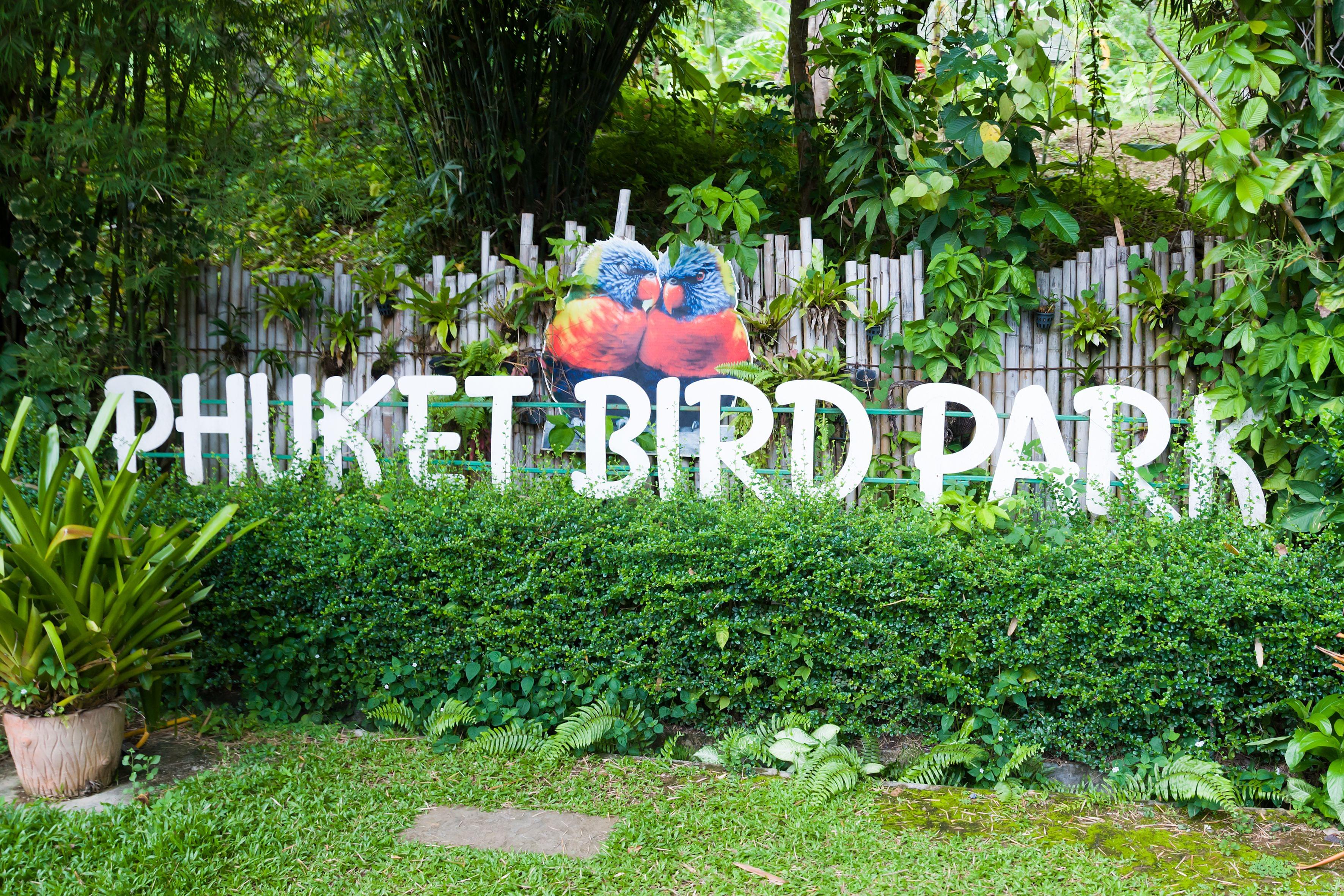 phuket bird park