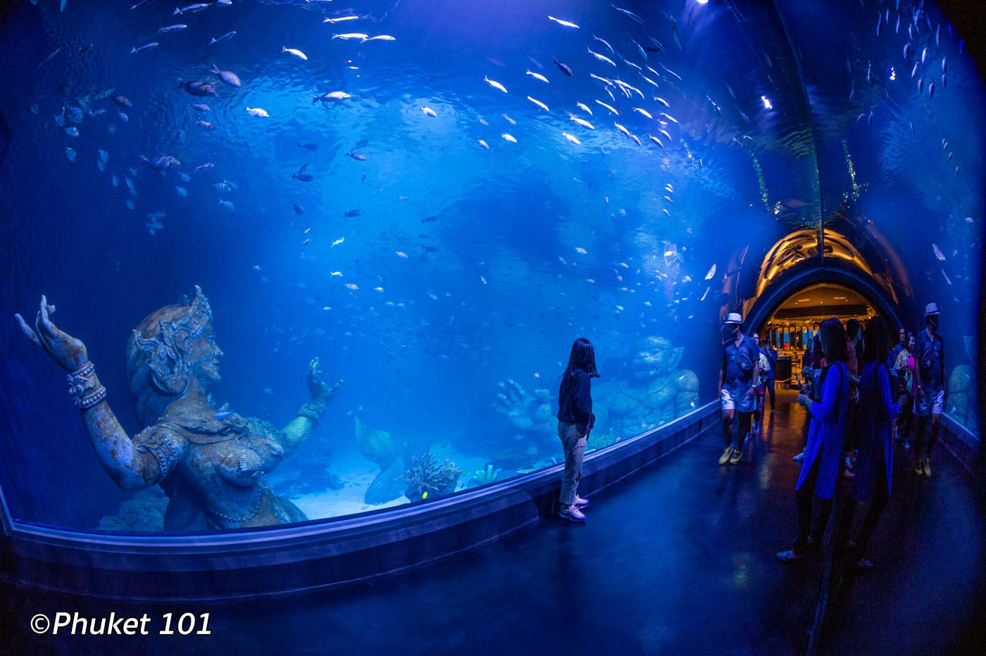 Аквариа Пхукет — Aquaria Phuket
