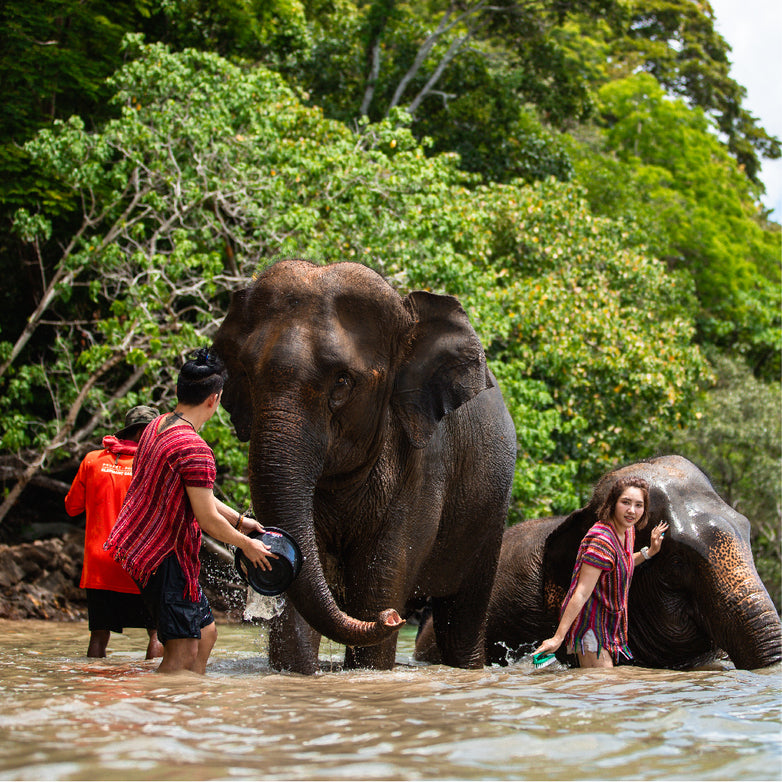 Elephant Care Camp at Siray — Купание со слонами в море