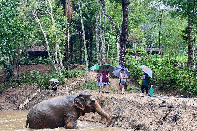 Elephant Jungle Sanctuary (Thalang Branch) — Дружелюбный персонал