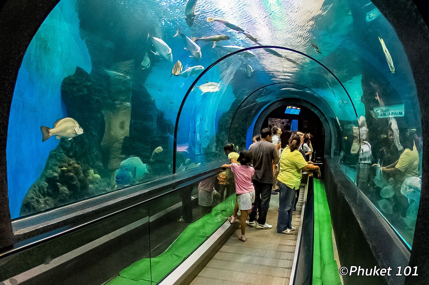 Аквариум Пхукета — Phuket Aquarium