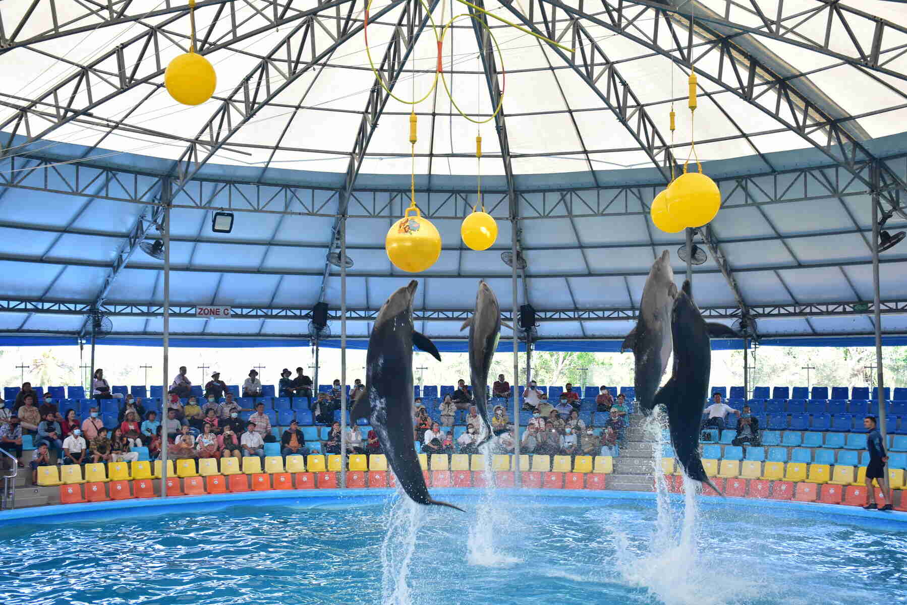 Phuket Dolphinarium — Шоу дельфинов и морских котиков