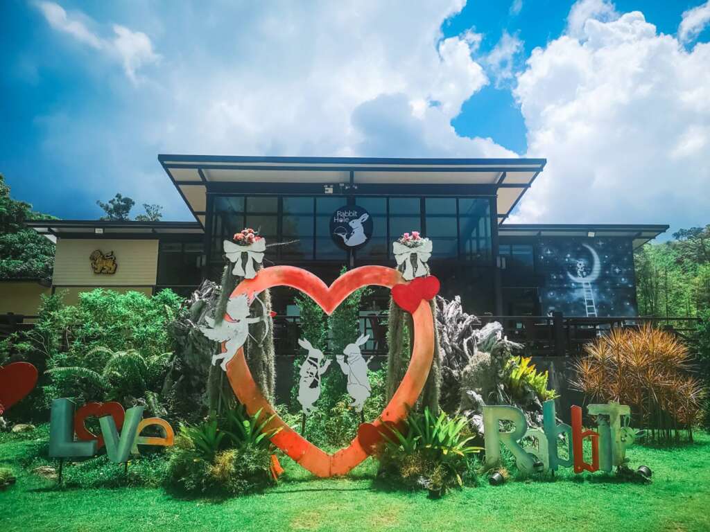 Rabbit Hole Phuket — Лаунж с кроликами и кофейней
