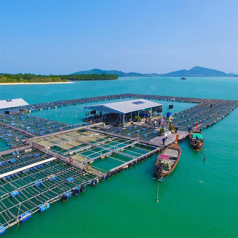 Жемчужная ферма — UNG Pearl Farm & Shop